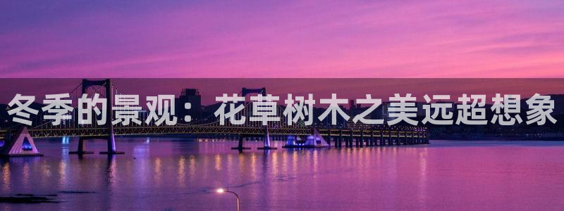 新宝 gg最新