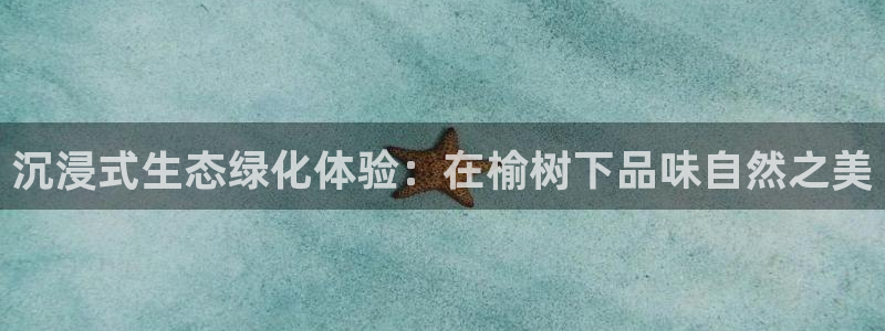 登录新宝GG