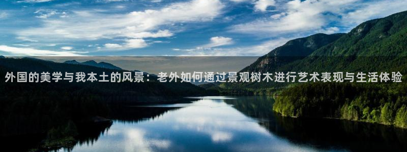 新宝gg软件下载