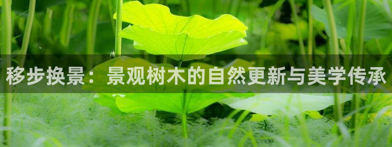 新宝gg登录注册