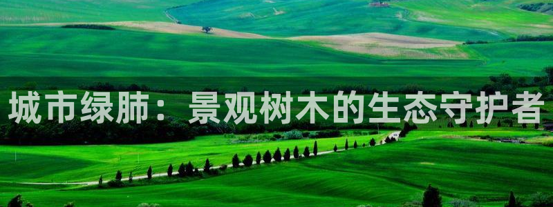 新宝gg主管开