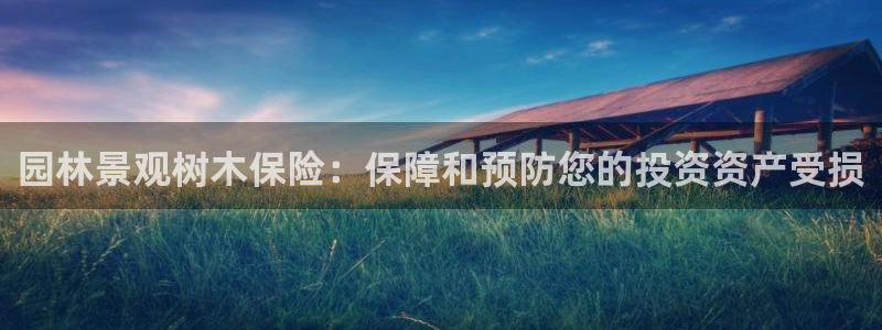 新宝gg如何登录