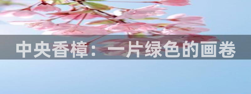 新宝GG专业团队