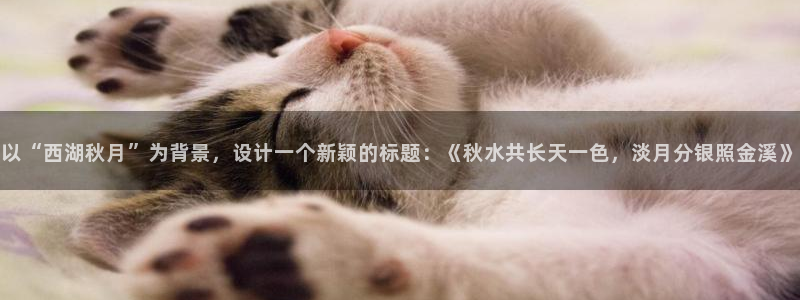 新宝GG创业奇迹