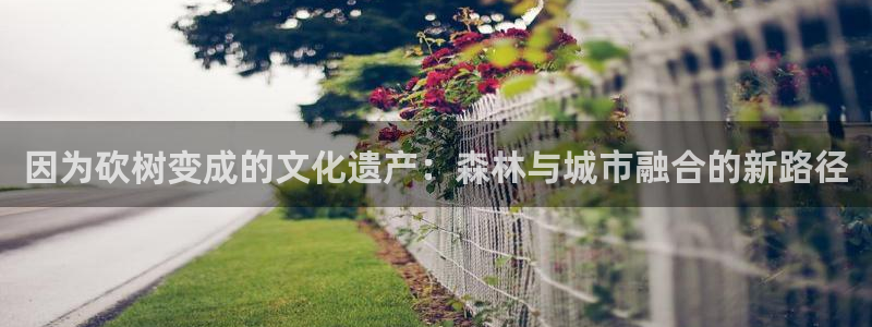 新宝gg奇迹
