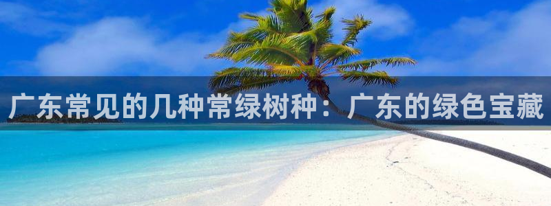 新宝gg是新宝几