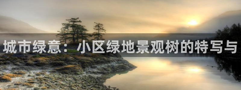 新宝GG娱