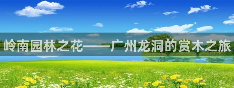 新宝gg专线