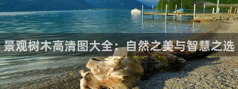 新宝gg创造奇迹