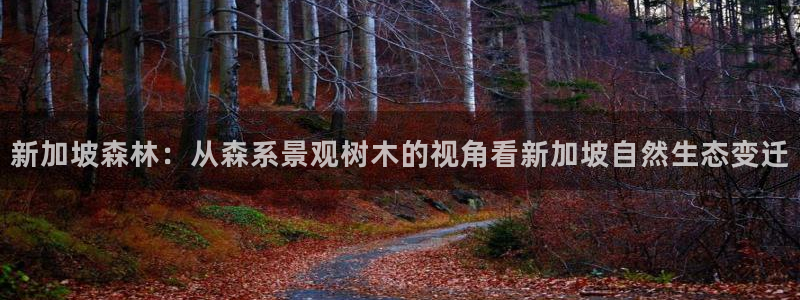 新宝gg画