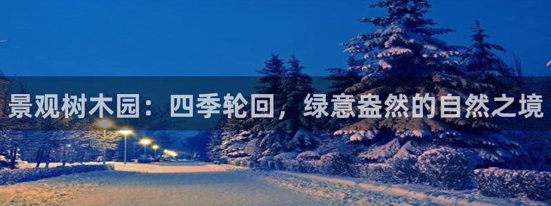 新宝gg官方主管
