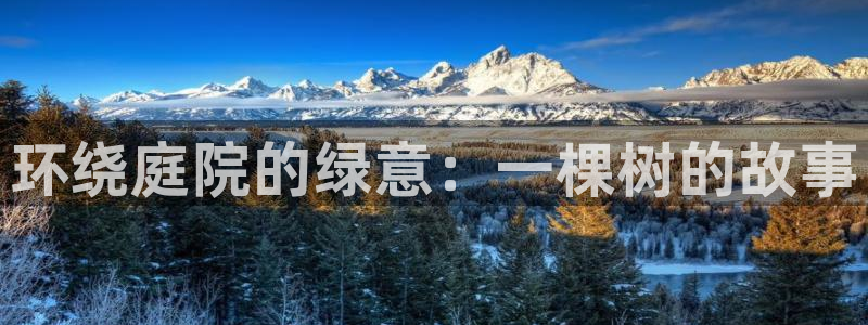 新宝gg干嘛