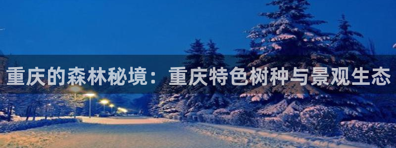 新宝gg直