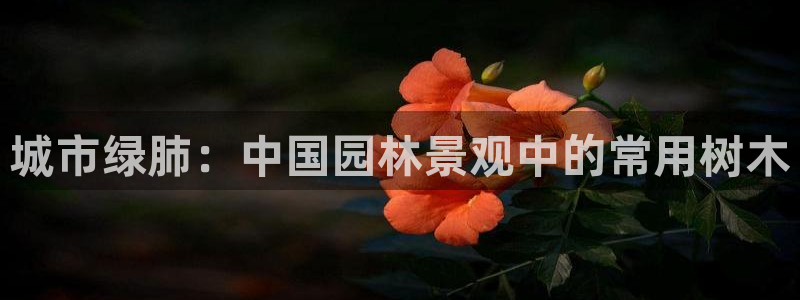 新宝gg客服电话