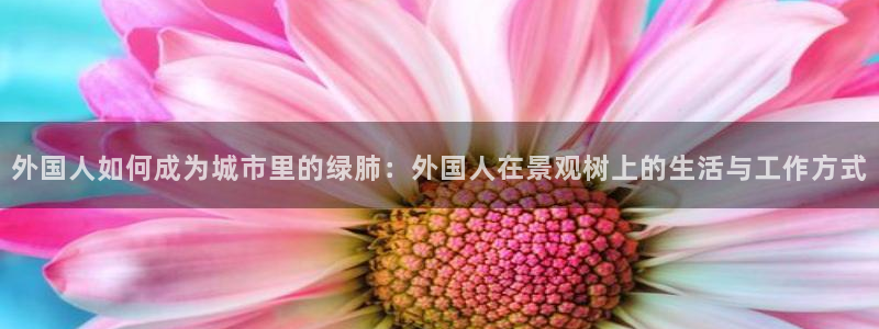 新宝gg联系