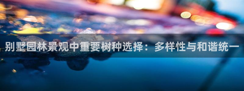 新宝gg工资