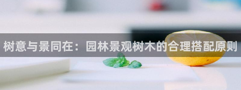 新宝gg有假吗