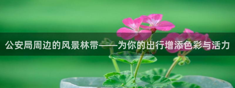 新宝gg返点1956是多少