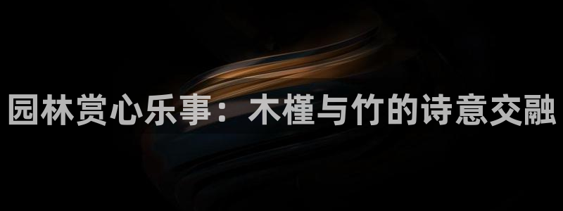 新宝gg创造奇迹