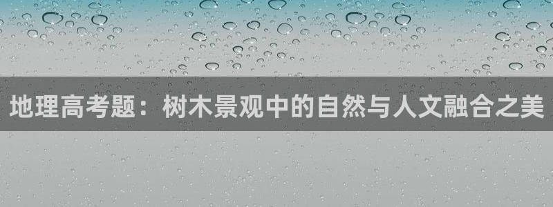 行新宝gg