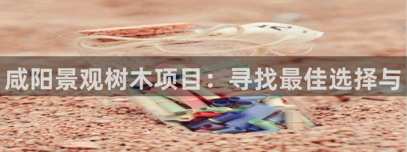 行新宝gg