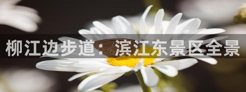 新宝奇迹GG5