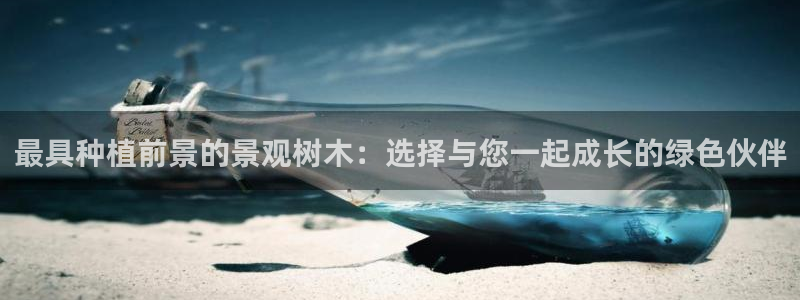 新宝gg娱乐怎么样