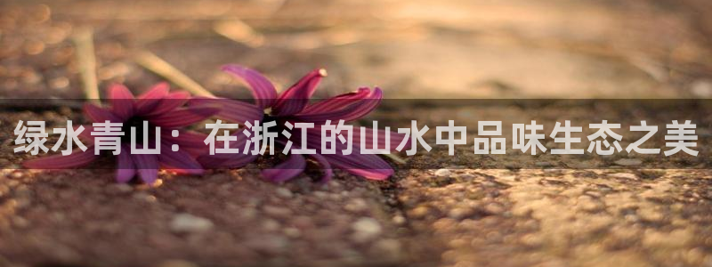 分分新宝gg