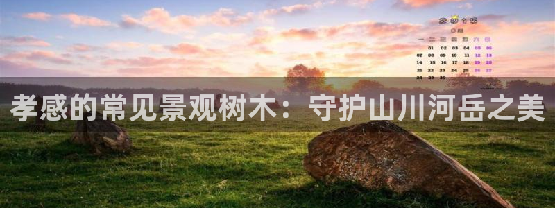 新宝gg佣金