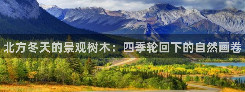 新宝GG手机客户端