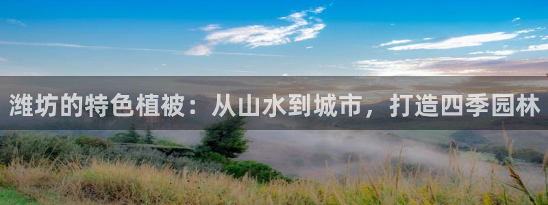 新宝gg   创造奇迹