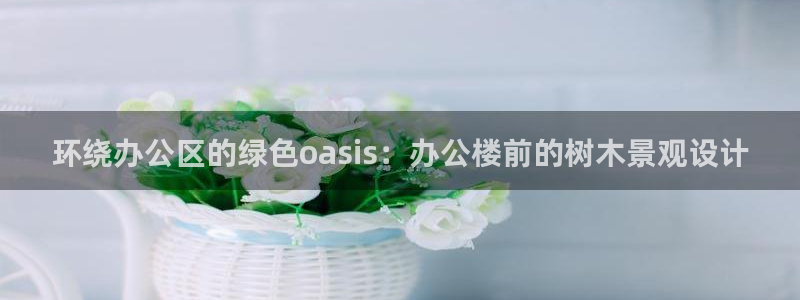 新宝gg地址