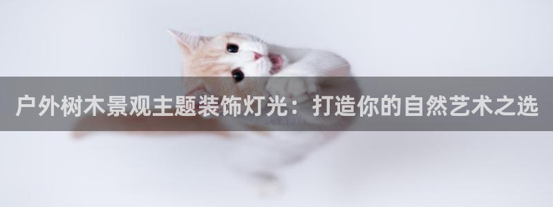 新宝gg灬75505