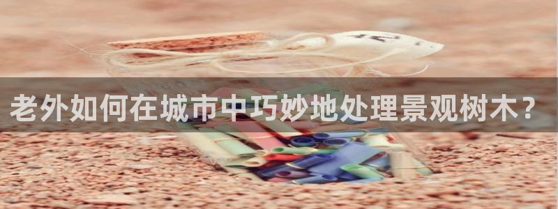 新宝GG创造奇
