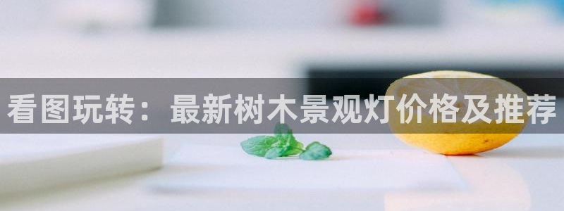 新宝gg游戏平台
