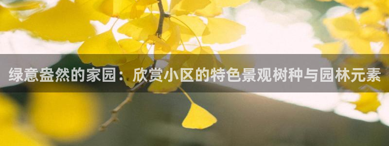 新宝gg打发