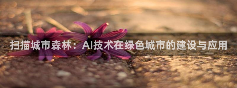 新宝gg一创造奇迹