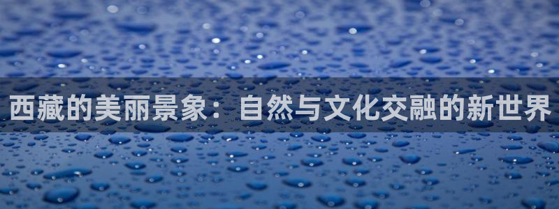 新宝gg和新宝123