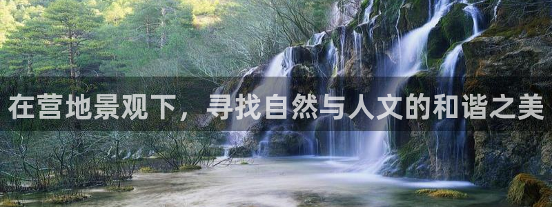 新宝gg招商42873