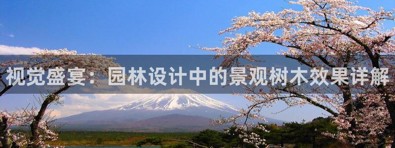 新宝gg赚钱：视觉盛宴：园林设计中的景观树木效果详解