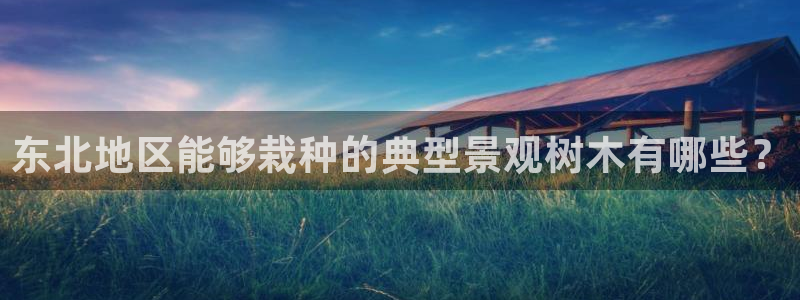 新宝GG娱乐-上皇巢网