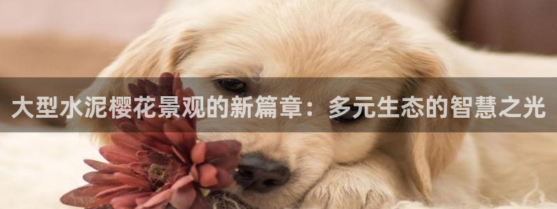 新宝gg平台开发