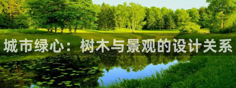 新宝gg怎样