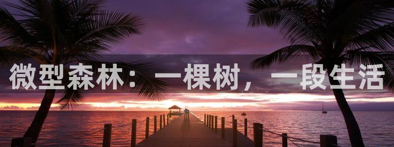 新宝GG娱乐-上皇巢网