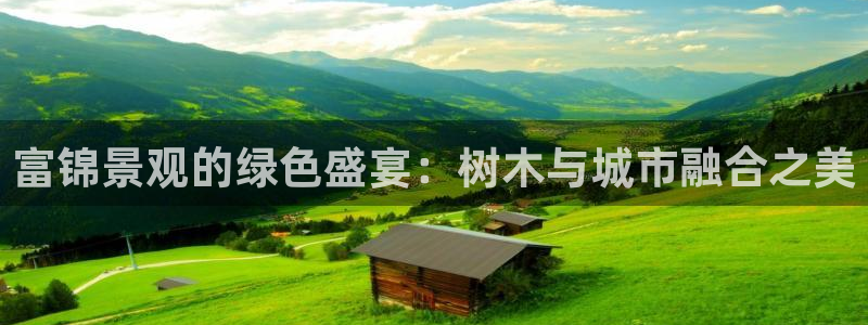 新宝gg开奖结果