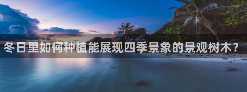 新宝gg直属上级