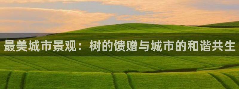 新宝gg评论