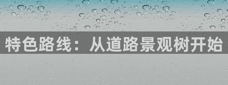 新宝gg平台首页