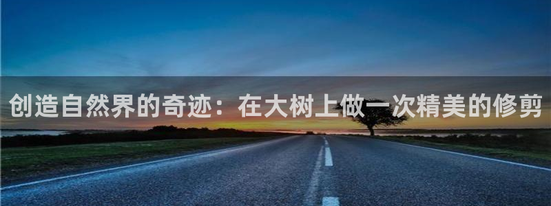 新宝gg注册q -26880：创造自然界的奇迹：在大树上做一次精美的修剪