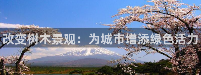 新宝gg 首页